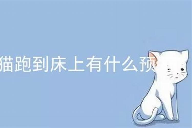 1997年按天干地支分是什么年