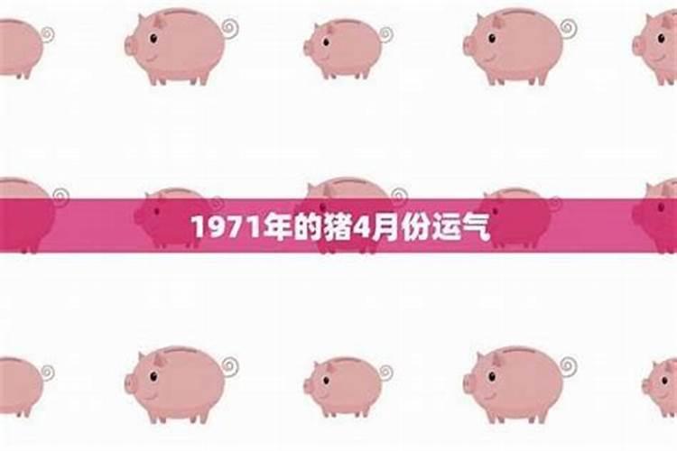 农历1971年4月初六的命运如何