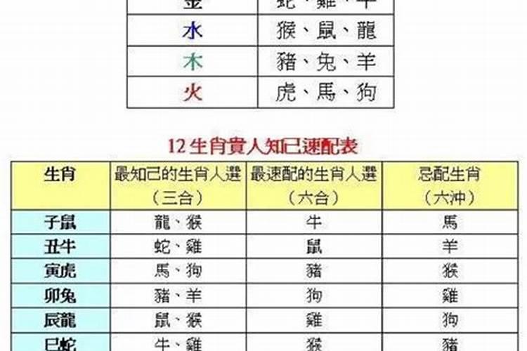 2025年属猪不能带的三样东西