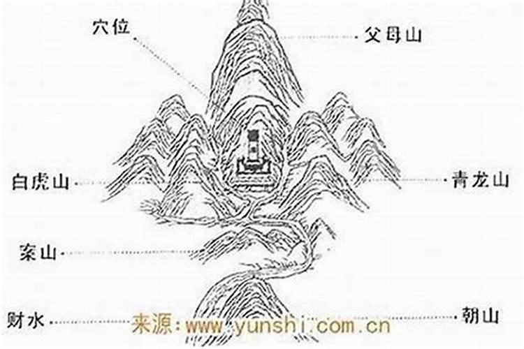 1982年11月15 16:00 —17:00出生人的五行属性