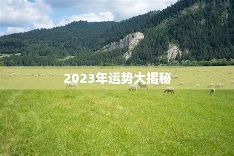 生肖羊1991年2025年运势如何 生肖羊1991年2025年全年运势