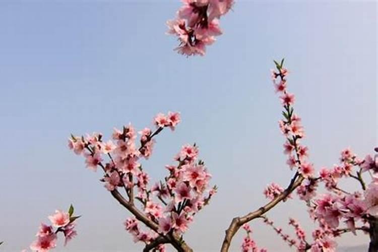 寒衣节的风俗是什么？
