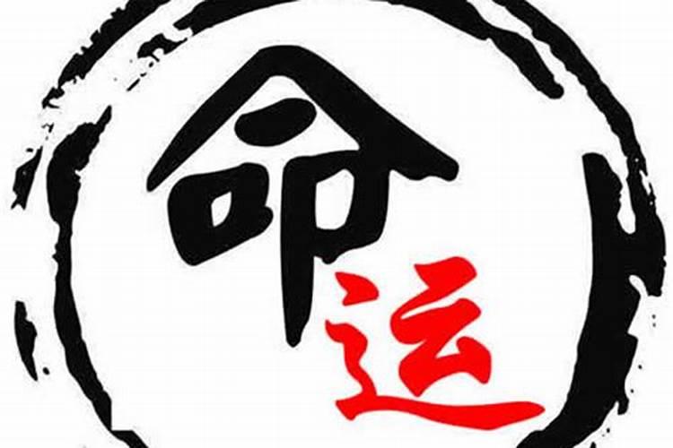 1995年阴历8月26日出生 一生运程如何