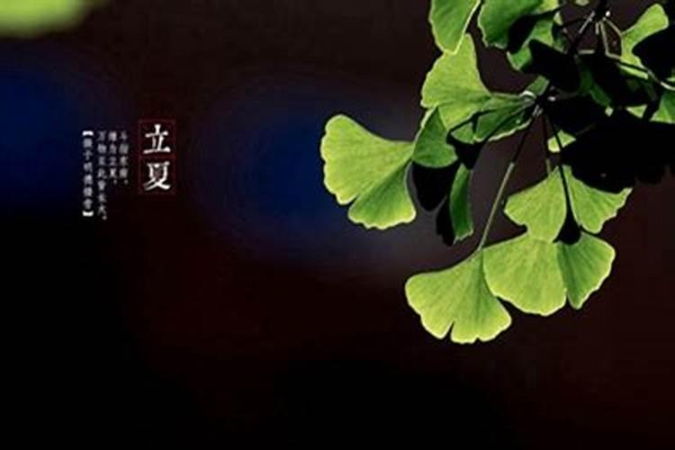过完冬至还可以上坟吗