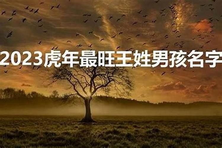 属兔与属羊合得来吗 事来上合作好吗？