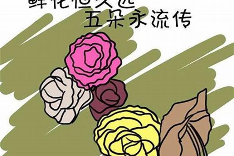 为什么我的本命年红的发紫,而不是本命年却做什么都不顺呢？