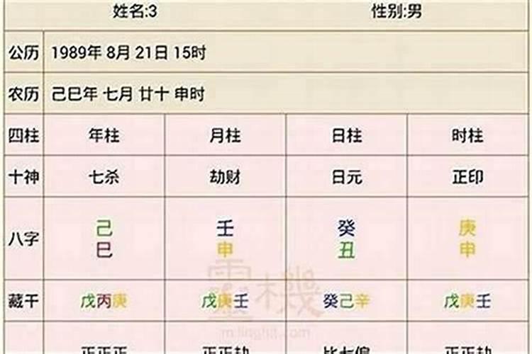 男狗女马适合在一起吗