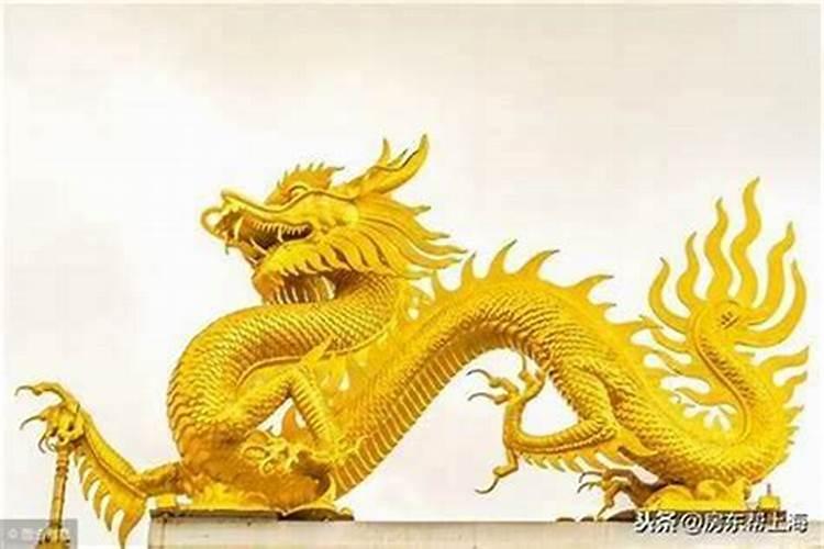 属龙2025年的运势及运程