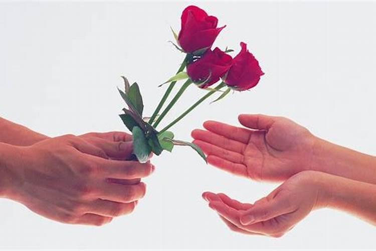 玫瑰花象征什么意义
