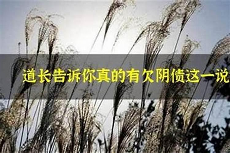 算命大师说的,不知道是什么意思？