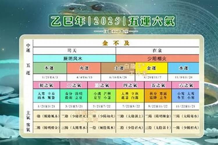 78属马女2025年运势
