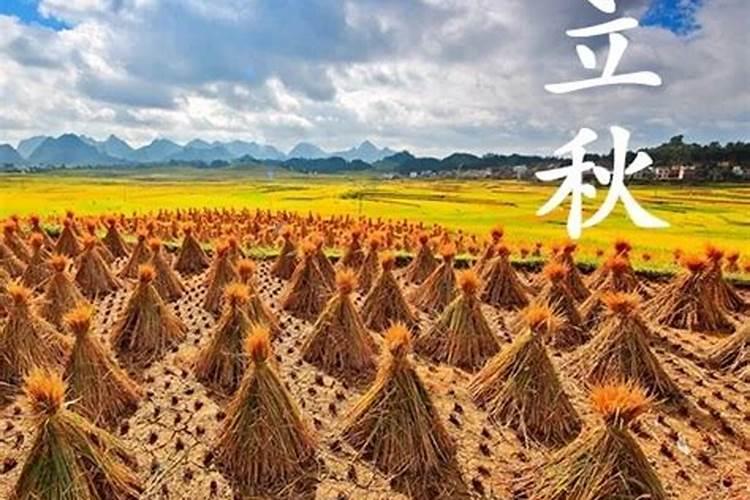 挂社扫墓,是什么时候？