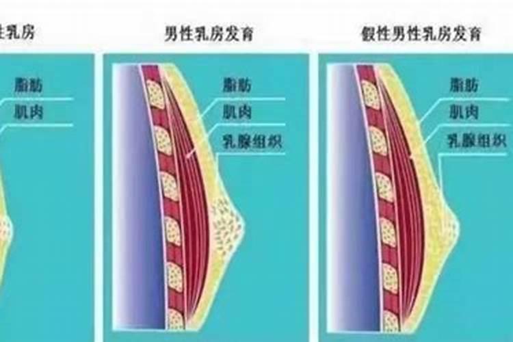 我家旧房装修改造,腊月能拆除厨房卫生间,家具能搬吗？？风水