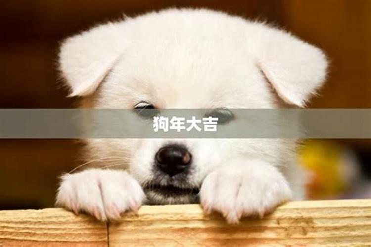 本命年运气不好怎么转运方法