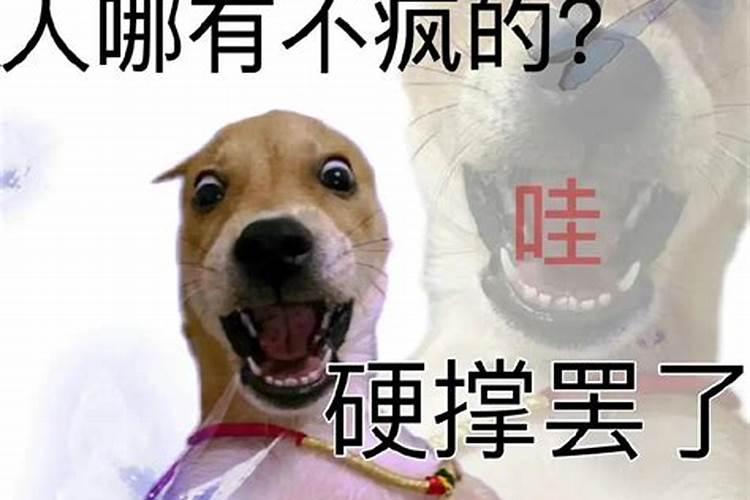 梦见马发疯乱跑是什么意思