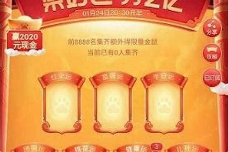 属龙男人和属兔女人相配吗