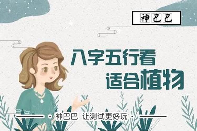 为什么养猫会带来财运？