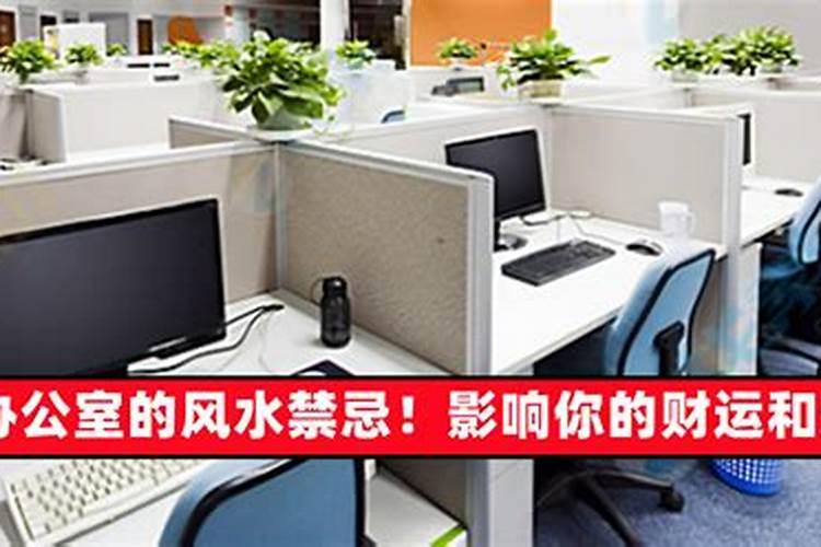 冬至扫墓带什么祭品