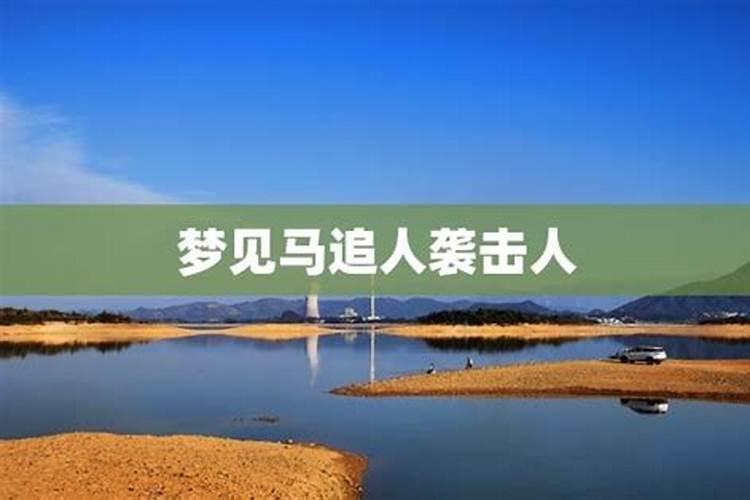 梦见被马追是什么意思