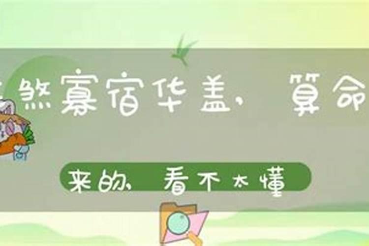 桃花运放什么地方最旺 桃花运放哪里最旺