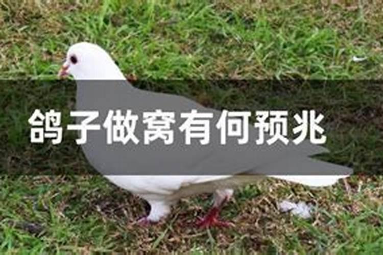 梦见给死去的长辈磕头的预兆