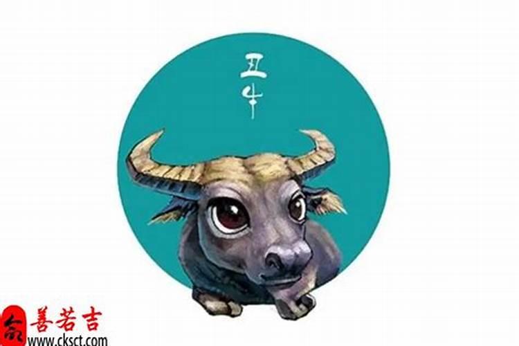1994年属狗多大了？