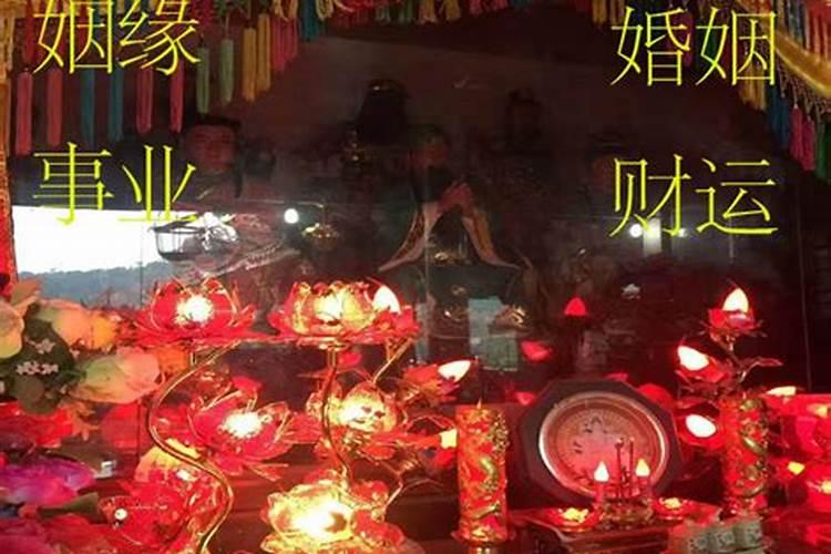 犯太岁的属相2025