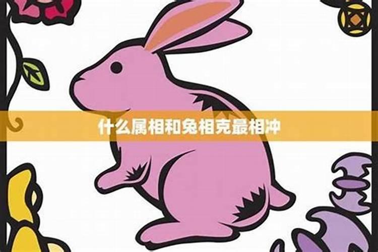 立冬的风俗吃什么,立冬的风俗有哪些？