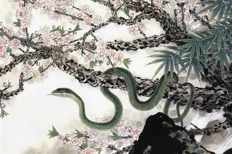 2018年生肖属蛇的人运势会如何呢？