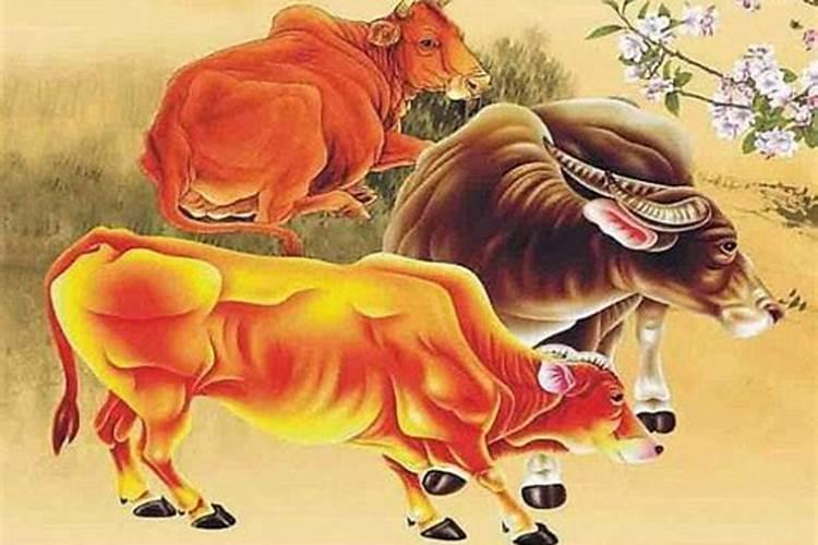 属龙2025年运势及运程每月运程