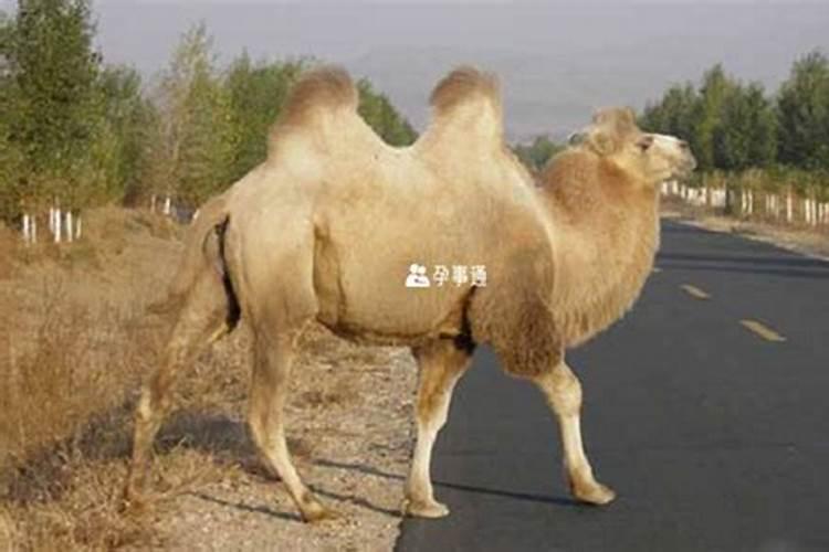 立夏前后如何钓鱼