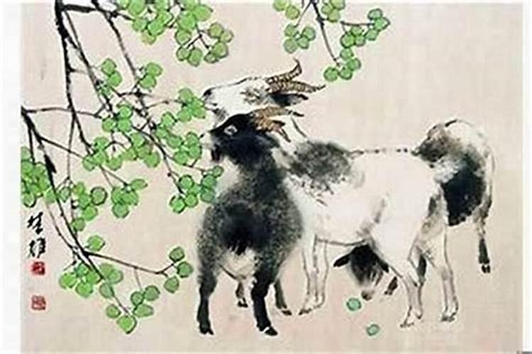 属兔和属狗的夫妻结局,婚姻会幸福吗？