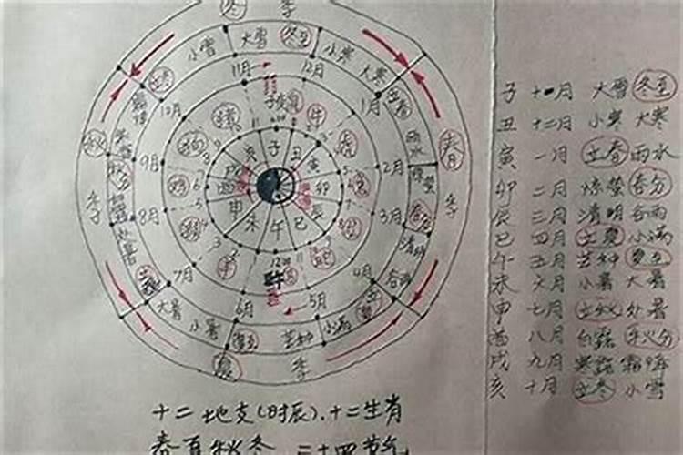 为何属虎一般婚姻不好