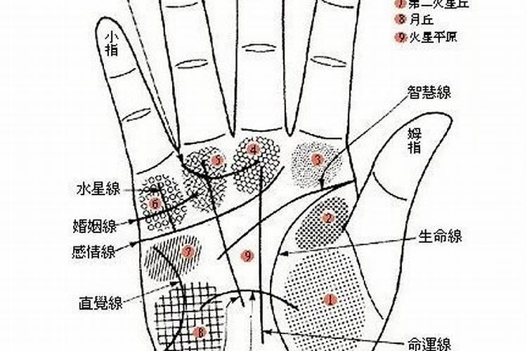 命运线流年法什么意思 怎么看？