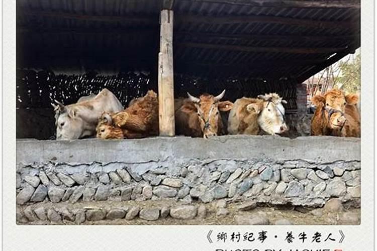 兰州冬天有什么好玩的东西 兰州冬天有什么好玩的