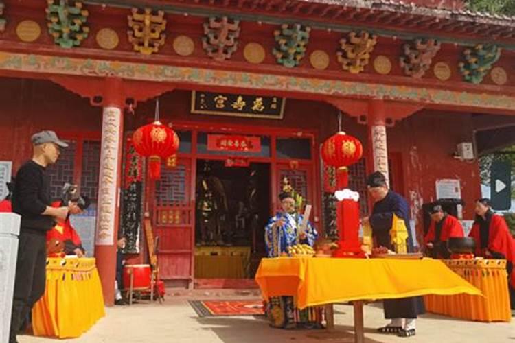 垃圾分类从我做起实践活动总结