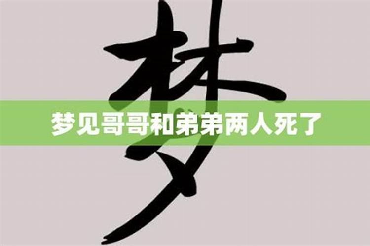 梦见哥哥 弟弟 兄弟什么意思？