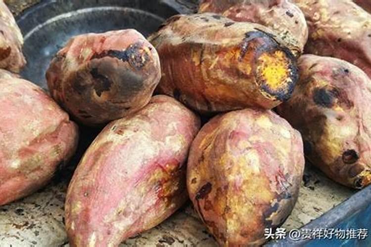 烤密薯起店铺名？