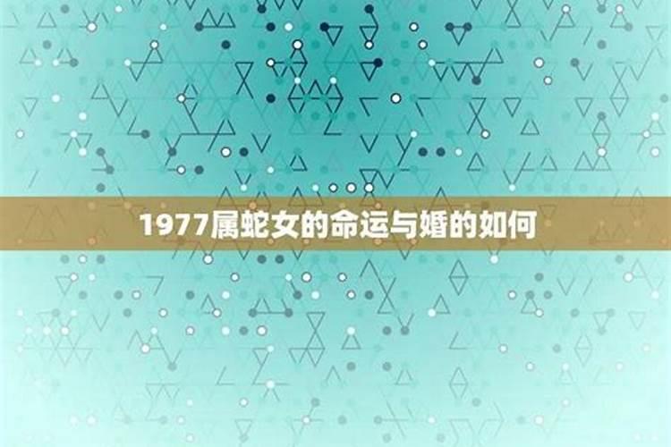 1977年属蛇女的婚姻和命运如何