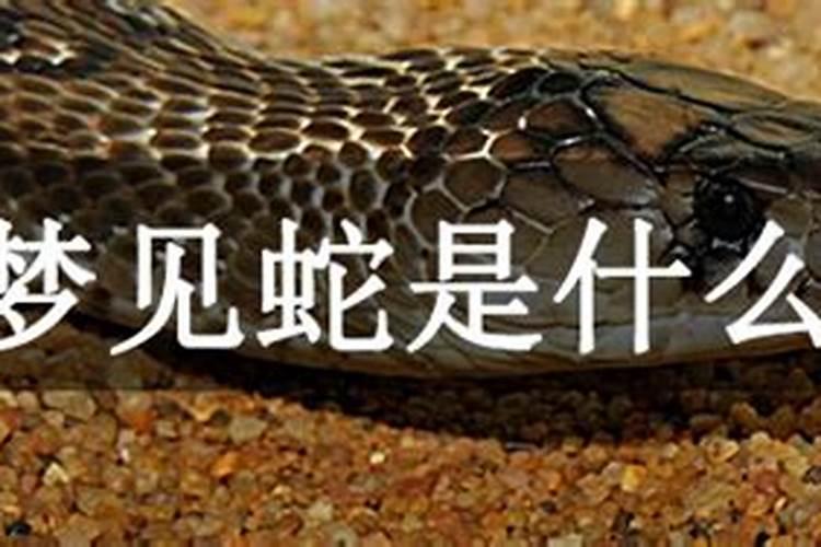 2025年是什么年五行属什么