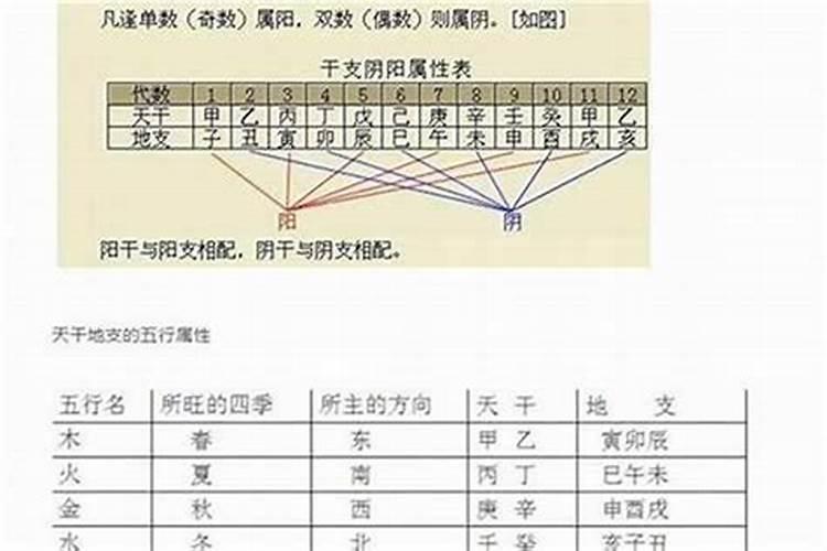 如何查自己的四柱八字