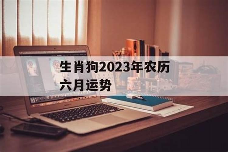 六月份属狗的运势,属狗的人2020全年运势及运程和每月运程