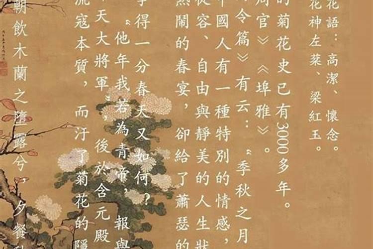 1995年猪女婚配狗男,94狗和95猪的姻缘破解