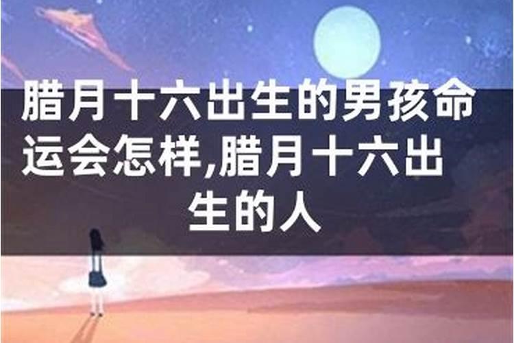 1995年腊月十六的八字运程