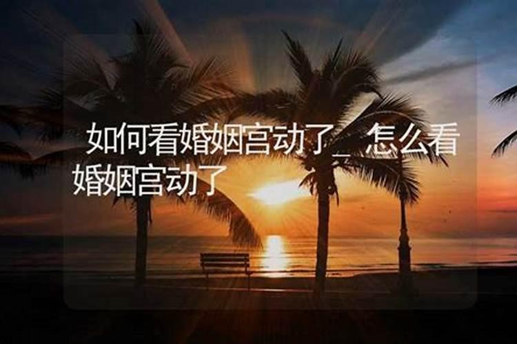 算命说动婚姻是什么意思,动婚是结婚还是处对象