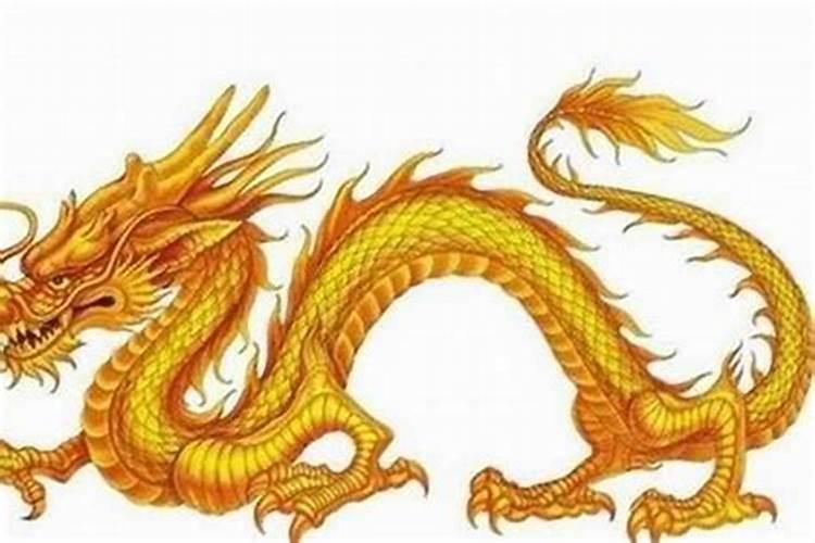女的做梦梦到两条龙预示什么