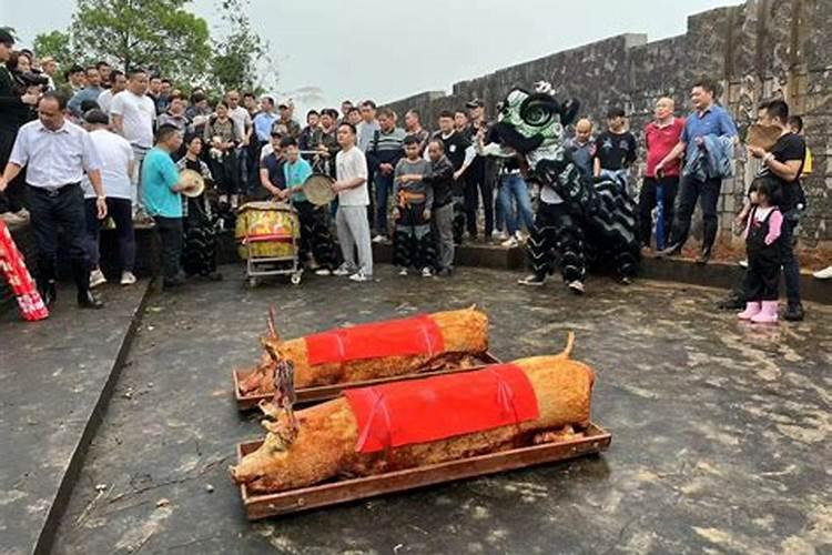 清明祭祖用什么花 清明祭祖用的花有哪些