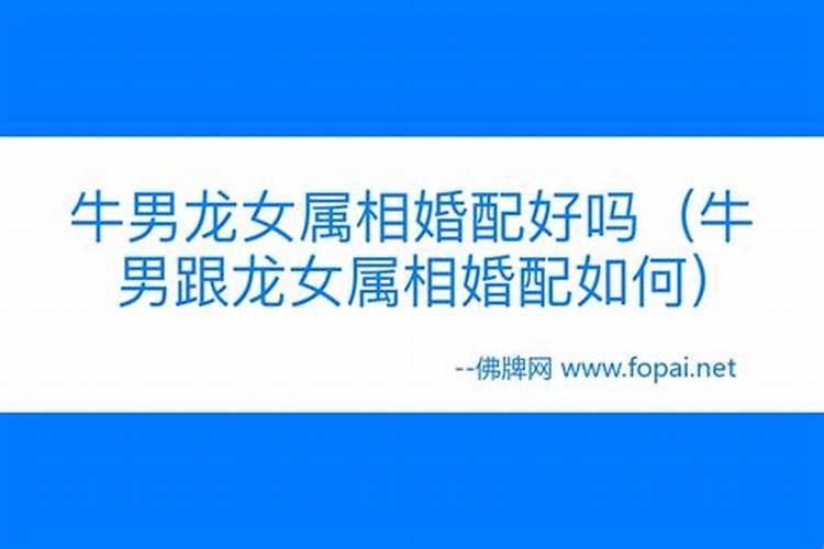 男龙女兔婚姻是否相配在一起吗？