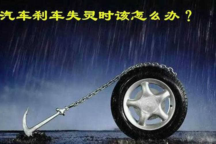 2025属牛的运势和财运