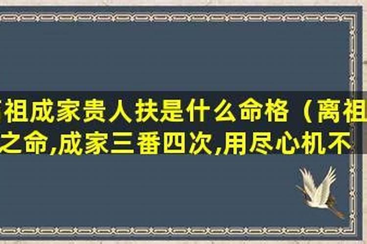 1996年是什么命